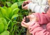 Volvamos a lo simple: jugar con tierra también es aprender 