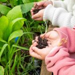Volvamos a lo simple: jugar con tierra también es aprender 