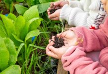 Volvamos a lo simple: jugar con tierra también es aprender 