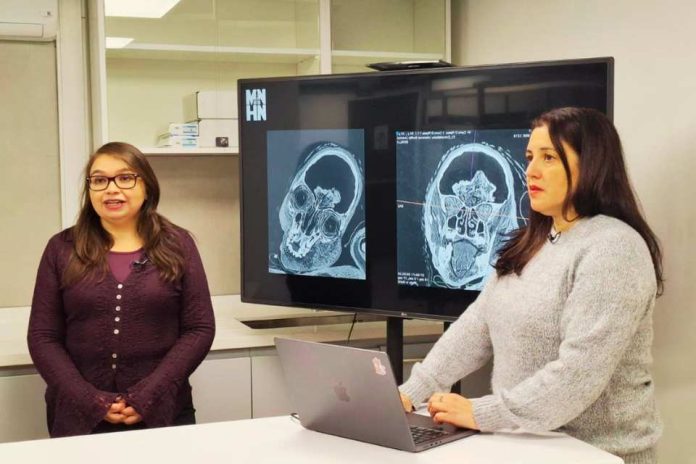 Académica de la Universidad Finis Terrae participó de estudio que revela nueva evidencia sobre muerte del Niño Inca de Cerro El Plomo Académica de la Universidad Finis Terrae participó de estudio que revela nueva evidencia sobre muerte del Niño Inca de Cerro El Plomo