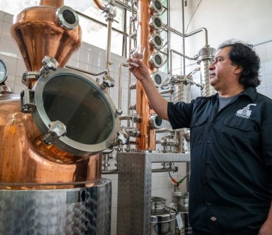 Chile celebra Fiestas Patrias con pisco, pero no cuenta con una carrera para formar a sus destiladores