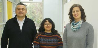 Colaboración internacional fortalece investigación interdisciplinaria entre la UCSC, la Universidad de Chile y CONICET
