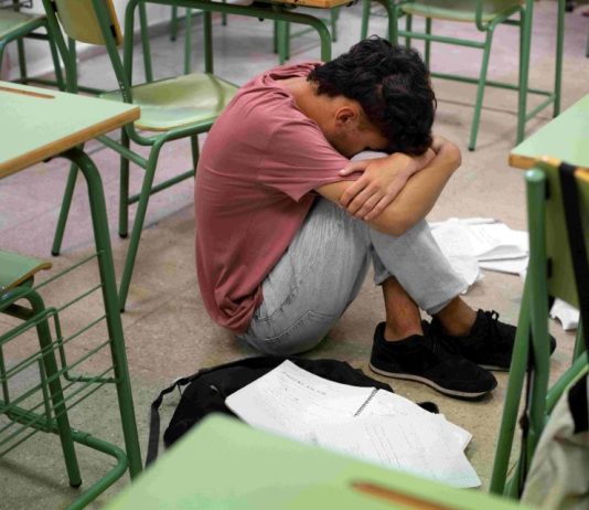 Denuncias por convivencia escolar suben 3% en el primer semestre y tres regiones logran bajarlas