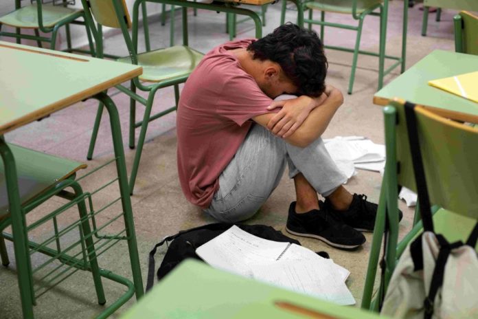 Denuncias por convivencia escolar suben 3% en el primer semestre y tres regiones logran bajarlas