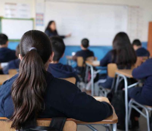 Dos leyes, una tarea: proteger educando, la pedagogización de la convivencia