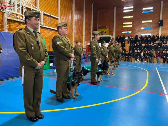 Él es Kaleb, el perro policial que causó furor en colegio de Puente Alto: saltó sobre un carabinero e izó una bandera Él es Kaleb, el perro policial que causó furor en colegio de Puente Alto: saltó sobre un carabinero e izó una bandera