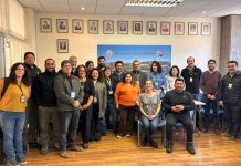 Estado, academia y sociedad civil trabajan para generar piloto de coordinación ante varamientos de aves marinas Estado, academia y sociedad civil trabajan para generar piloto de coordinación ante varamientos de aves marinas