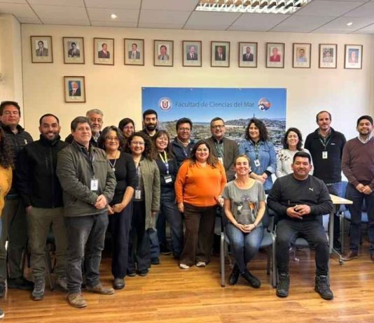 Estado, academia y sociedad civil trabajan para generar piloto de coordinación ante varamientos de aves marinas