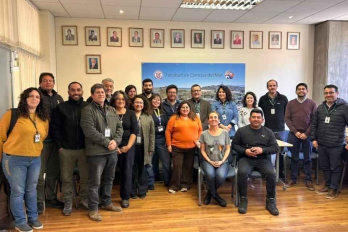 Estado, academia y sociedad civil trabajan para generar piloto de coordinación ante varamientos de aves marinas Estado, academia y sociedad civil trabajan para generar piloto de coordinación ante varamientos de aves marinas
