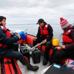 Estudio entre Chile y Tasmania revela cómo los bosques de huiro gigante modifican la química del agua de mar Estudio entre Chile y Tasmania revela cómo los bosques de huiro gigante modifican la química del agua de mar