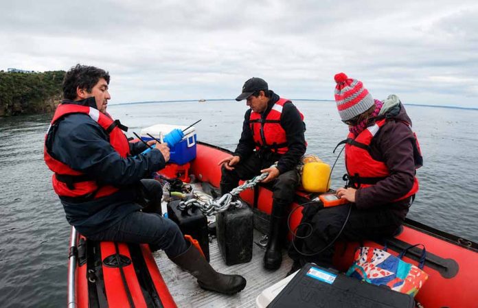 Estudio entre Chile y Tasmania revela cómo los bosques de huiro gigante modifican la química del agua de mar Estudio entre Chile y Tasmania revela cómo los bosques de huiro gigante modifican la química del agua de mar