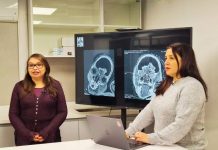 Reportaje | Investigación interdisciplinaria aporta nueva evidencia sobre las circunstancias de muerte del Niño de Cerro El Plomo