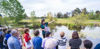 Jardín Botánico y Arboretum UTalca reabre sus puertas a la comunidad Jardín Botánico y Arboretum UTalca reabre sus puertas a la comunidad