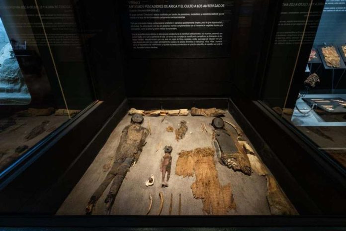 Más antigua que las pirámides de Egipto la cultura Chinchorro en Arica que encanta a turistas de todo el mundo