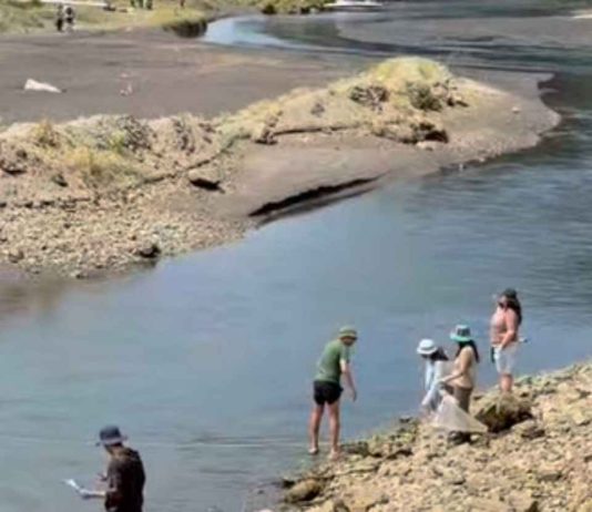 Muestreo nacional de ríos alerta sobre el riesgo de la basura acumulada ante lluvias y aluviones