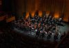 Paolo Bortolameolli liderará a la Orquesta Sinfónica Nacional Juvenil de FOJI en programa “Camino al Último Vals”
