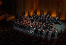 Paolo Bortolameolli liderará a la Orquesta Sinfónica Nacional Juvenil de FOJI en programa “Camino al Último Vals”