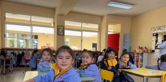 Solidaridad: la herramienta olvidada para prevenir la violencia escolar