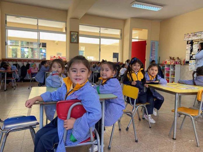 Solidaridad: la herramienta olvidada para prevenir la violencia escolar