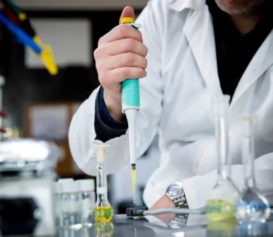 Usach amplía oportunidades de investigación para académicos y académicas docentes con nuevo fondo institucional Usach amplía oportunidades de investigación para académicos y académicas docentes con nuevo fondo institucional