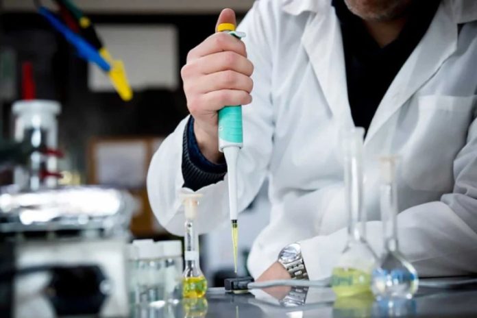 Usach amplía oportunidades de investigación para académicos y académicas docentes con nuevo fondo institucional