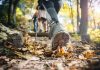 ¿Está cambiando la forma de hacer trekking en Chile Investigación revela la preocupación de los guías de montaña