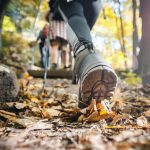 ¿Está cambiando la forma de hacer trekking en Chile Investigación revela la preocupación de los guías de montaña