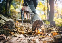 ¿Está cambiando la forma de hacer trekking en Chile Investigación revela la preocupación de los guías de montaña