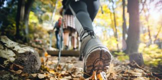 ¿Está cambiando la forma de hacer trekking en Chile? Investigación revela la preocupación de los guías de montaña ¿Está cambiando la forma de hacer trekking en Chile Investigación revela la preocupación de los guías de montaña