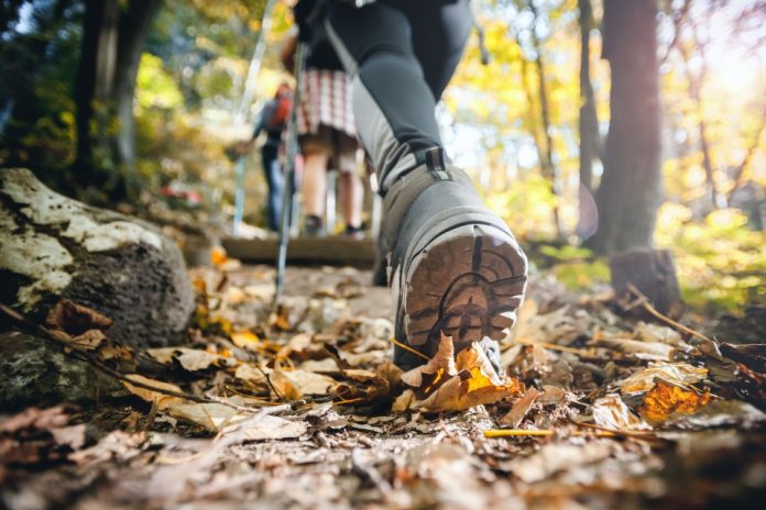 ¿Está cambiando la forma de hacer trekking en Chile Investigación revela la preocupación de los guías de montaña