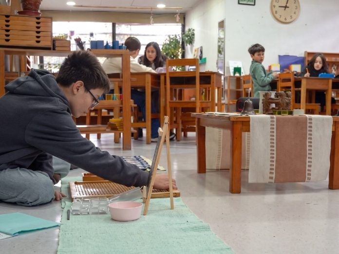 Advierten que medidas punitivas perpetúan la violencia escolar Advierten que medidas punitivas perpetúan la violencia escolar