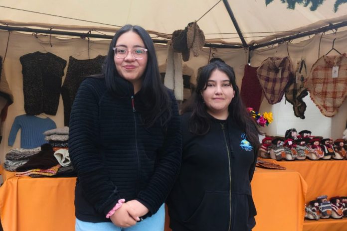 Alumnas del Liceo Pioneros del Sur triunfan en Yo Te Cuento, concurso de recomendación lectora de Fundación Ibáñez Atkinson