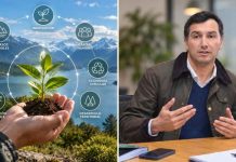 Corfo abre 254 becas para formar profesionales en bioeconomía y fortalecer el desarrollo productivo