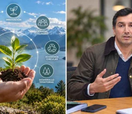 Corfo abre 254 becas para formar profesionales en bioeconomía y fortalecer el desarrollo productivo