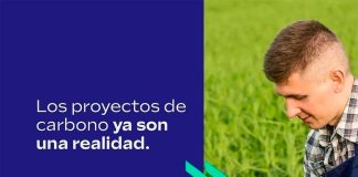 Corfo | Últimos días para postular a las 232 becas para formar profesionales y técnicos en diseño y gestión de proyectos de carbono