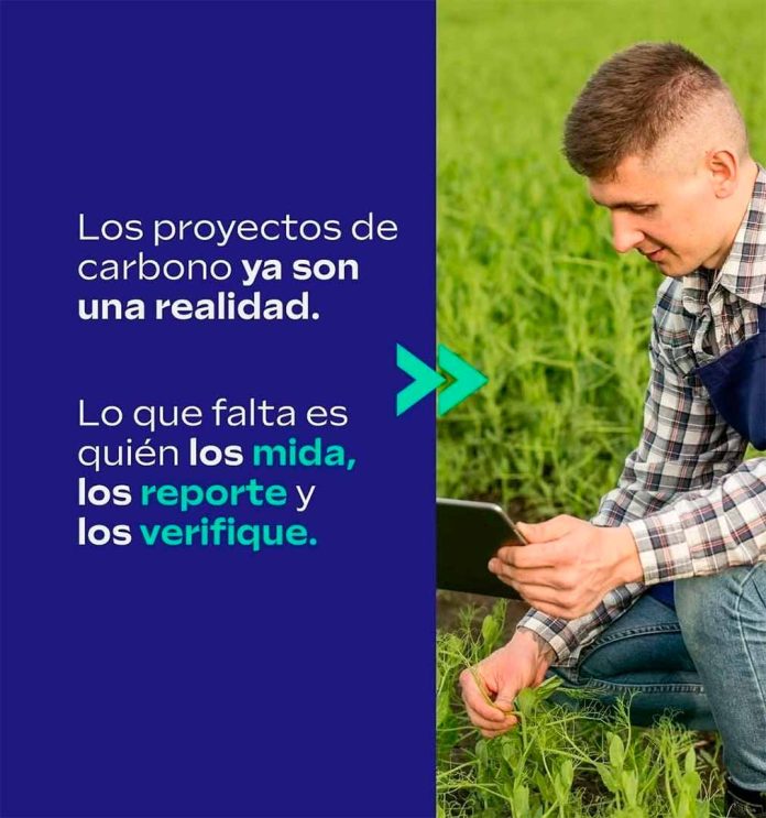 Corfo | Últimos días para postular a las 232 becas para formar profesionales y técnicos en diseño y gestión de proyectos de carbono