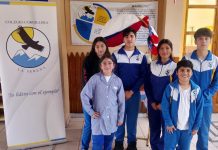 Desde Calama hasta Punta Arenas: nueve establecimientos fueron reconocidos por su compromiso con el reciclaje Desde Calama hasta Punta Arenas nueve establecimientos fueron reconocidos por su compromiso con el reciclaje