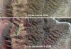 Desierto Florido 2026: lluvias amplían la extensión de uno de los fenómenos naturales más emblemáticos de Atacama Desierto Florido 2026 lluvias amplían la extensión de uno de los fenómenos naturales más emblemáticos de Atacama