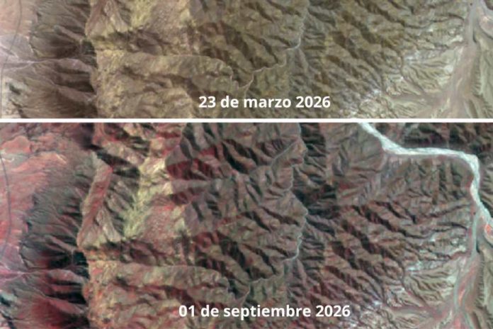 Desierto Florido 2026 lluvias amplían la extensión de uno de los fenómenos naturales más emblemáticos de Atacama Desierto Florido 2026 lluvias amplían la extensión de uno de los fenómenos naturales más emblemáticos de Atacama