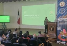 Escuela de Educación UCN lanza guía docente digital gratuita Escuela de Educación UCN lanza guía docente digital gratuita
