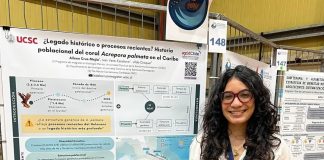 Estudiante del Magíster en Ecología Marina UCSC realizará estancia de investigación en Japón