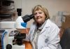 Gloria Montenegro Rizzardini es elegida Premio Nacional de Ciencias Aplicadas y Tecnológicas 2026 Gloria del Carmen Montenegro Rizzardini, profesora de Biología y Ciencias Naturales de la Pontificia Universidad Católica, fue elegida este lunes como Premio Nacional de Ciencias Aplicadas y Tecnológicas 2026