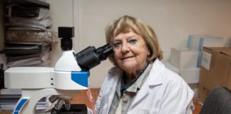 Gloria del Carmen Montenegro Rizzardini, profesora de Biología y Ciencias Naturales de la Pontificia Universidad Católica, fue elegida este lunes como Premio Nacional de Ciencias Aplicadas y Tecnológicas 2026