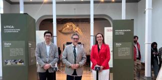 Más de 11.000 años de historia de Puchuncaví llegan al museo de historia natural de Valparaíso Más de 11.000 años de historia de Puchuncaví llegan al museo de historia natural de Valparaíso