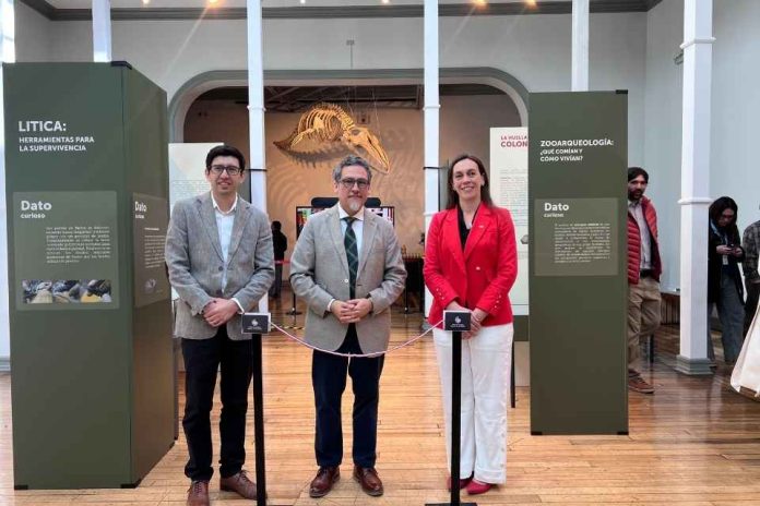 Más de 11.000 años de historia de Puchuncaví llegan al museo de historia natural de Valparaíso