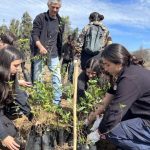 Masiva reforestación en Pirque: Estudiantes de Agronomía y Sistemas Naturales UC participan en plan de restauración ecológica con 500 árboles nativos Masiva reforestación en Pirque Estudiantes de Agronomía y Sistemas Naturales UC participan en plan de restauración ecológica con 500 árboles nativos