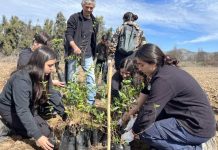 Masiva reforestación en Pirque: Estudiantes de Agronomía y Sistemas Naturales UC participan en plan de restauración ecológica con 500 árboles nativos Masiva reforestación en Pirque Estudiantes de Agronomía y Sistemas Naturales UC participan en plan de restauración ecológica con 500 árboles nativos