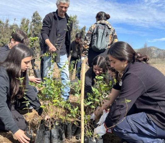 Masiva reforestación en Pirque: Estudiantes de Agronomía y Sistemas Naturales UC participan en plan de restauración ecológica con 500 árboles nativos Masiva reforestación en Pirque Estudiantes de Agronomía y Sistemas Naturales UC participan en plan de restauración ecológica con 500 árboles nativos