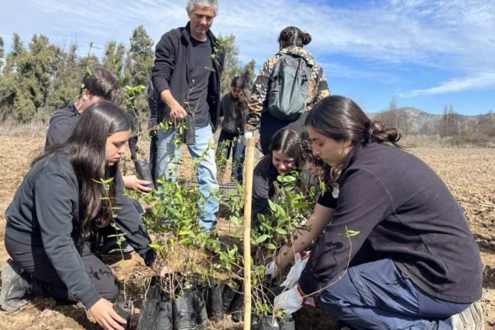 Masiva reforestación en Pirque Estudiantes de Agronomía y Sistemas Naturales UC participan en plan de restauración ecológica con 500 árboles nativos Masiva reforestación en Pirque Estudiantes de Agronomía y Sistemas Naturales UC participan en plan de restauración ecológica con 500 árboles nativos