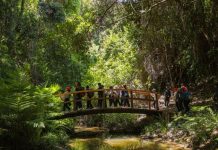 Referente mundial en aprendizaje al aire libre destacó el impacto educativo del Programa Aula Tricao Referente mundial en aprendizaje al aire libre destacó el impacto educativo del Programa Aula Tricao